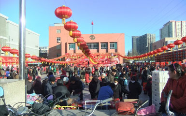 承办西城区园林局“莲花河景观大道迎新春活动”